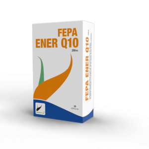FEPA-ENERQ10
