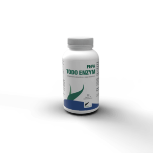 FEPA-TODO-ENZYM