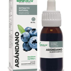 F0000011845_arandano_extracto_sorianatural
