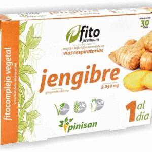 jengibre_2