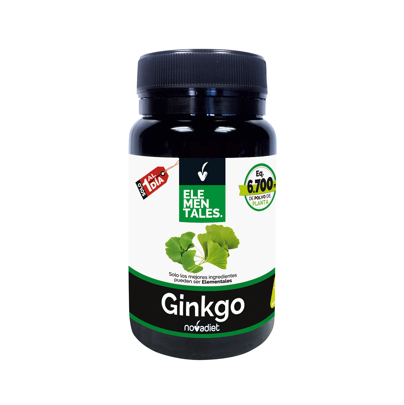 relacionados._0010_ginkgo