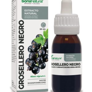 GROSELLO
