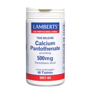 400x400_pantotenato-de-calcio-500mg-60-comprimidos--0