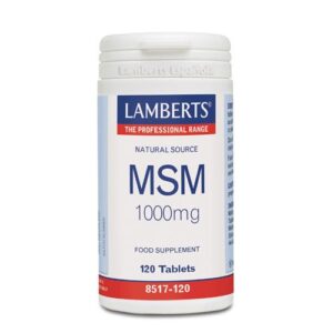 msm-1000mg-120tab