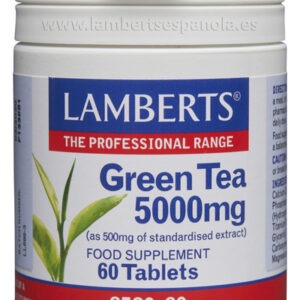te-verde-extracto-lamberts-8580-60