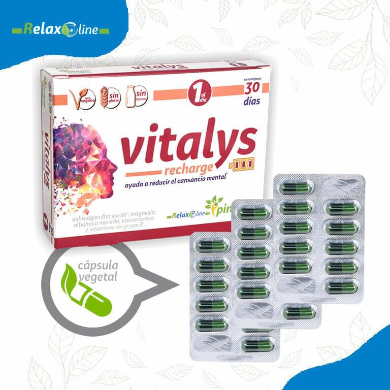 Vitalys Cansancio Mental 30 caps, Pinisan - Imagen 2